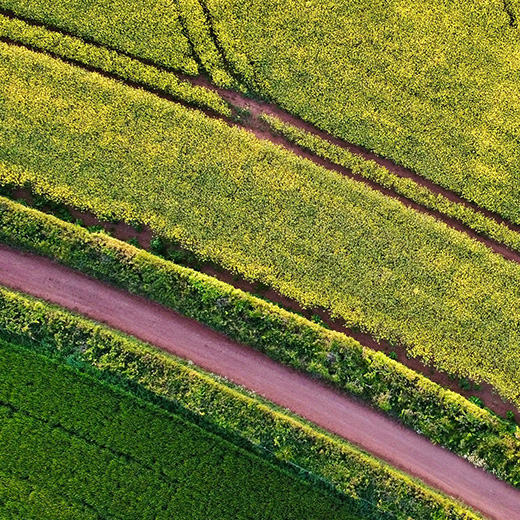 Riva Land Secures Promotion Agreement for 4.5-Acre Site in Hagley