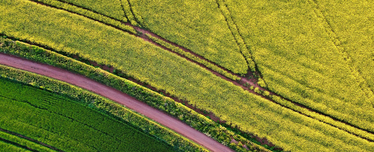 Riva Land Secures Promotion Agreement for 4.5-Acre Site in Hagley